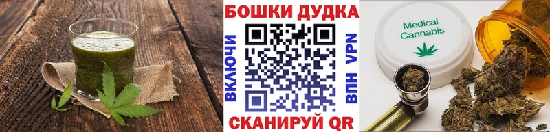 где купить наркоту  Алатырь  сайты даркнета официальный сайт  Cannafood конопля 