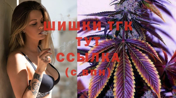 Альфа ПВП Абаза