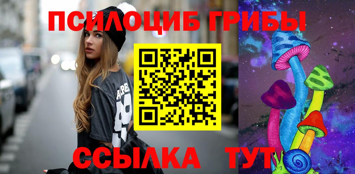 Галлюциногенные грибы Cubensis  Псилоцибиновые грибы ЛСД  Алатырь  Вход с VPN 